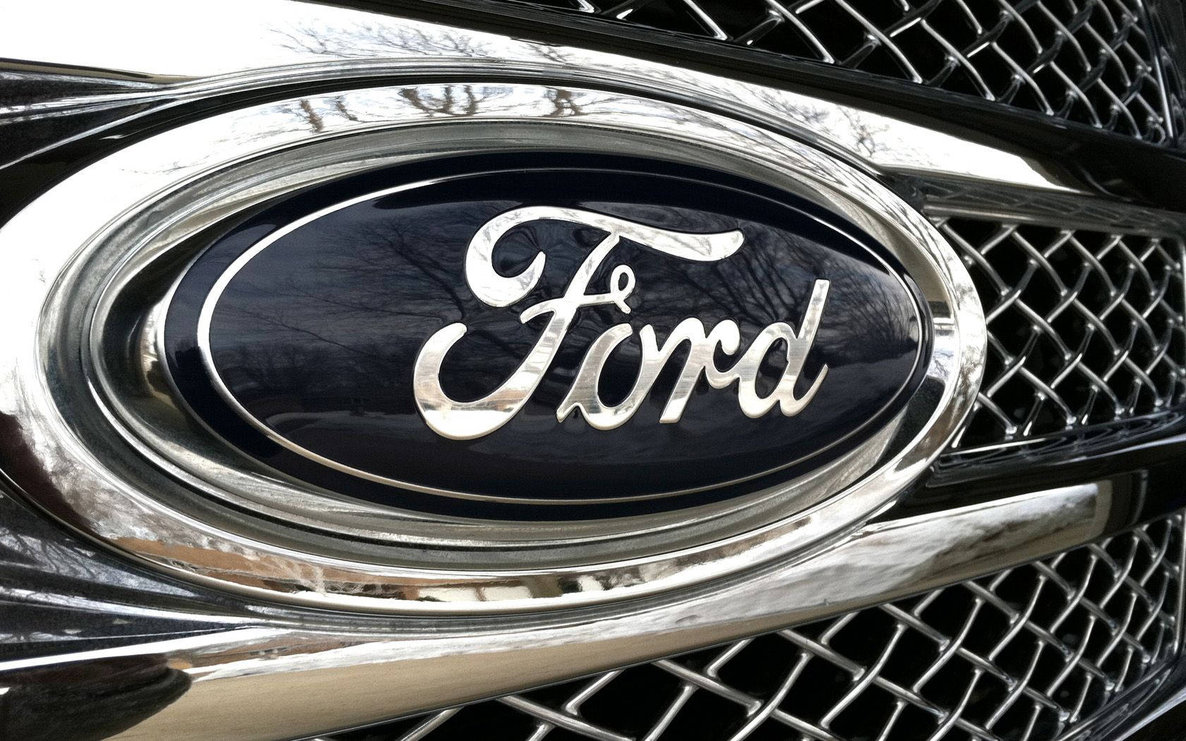ford-logo-bumper-ylyx8euh648p3avj