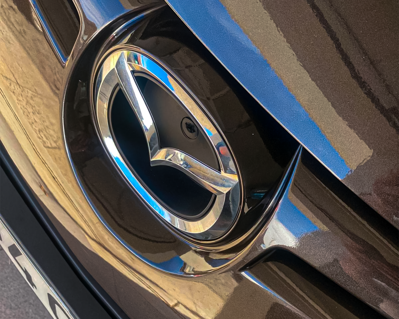 WhatsApp Image 2025-09-24 at 10.57.21 (14)